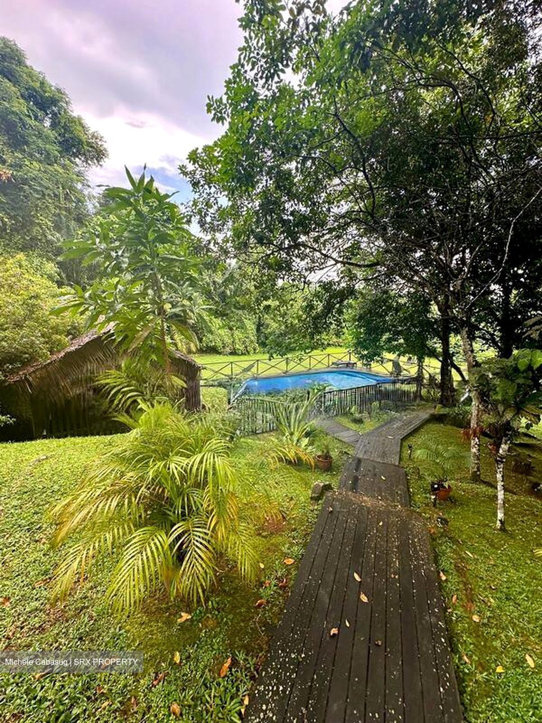 Thomson Road (D11), Detached #498337181